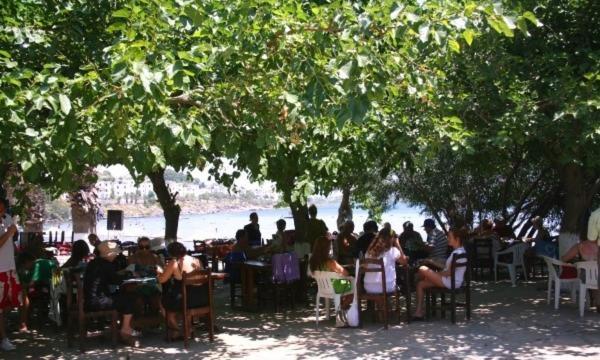 Meteor Beach Hotel Turgutreis Exterior foto